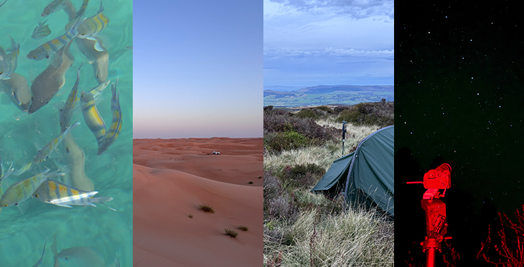 Image showing the desert, camping in green hills, and astrophotography of ursa major